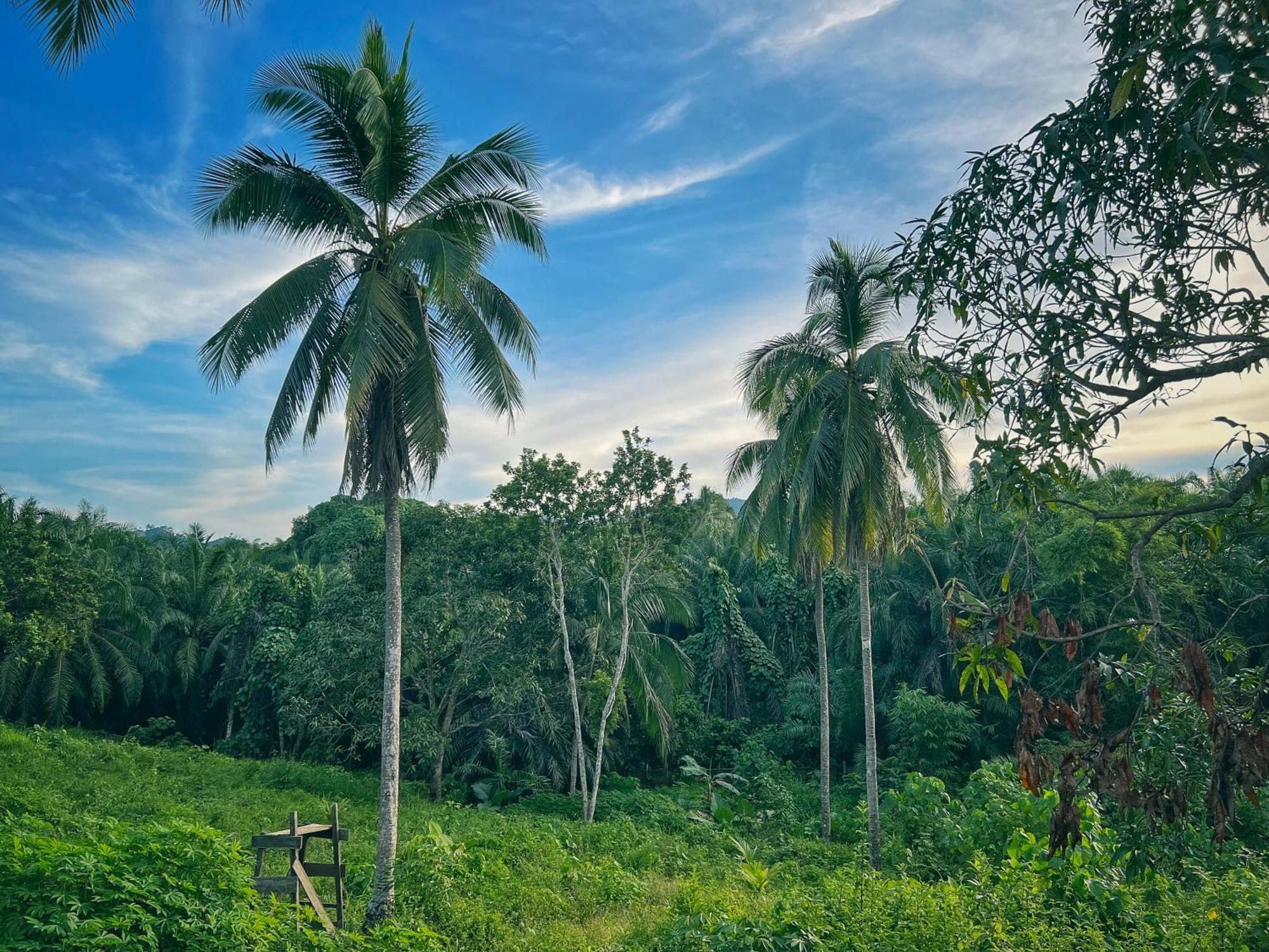Timba Garden Free Town And Jetty Transport Hotel Semporna Buitenkant foto